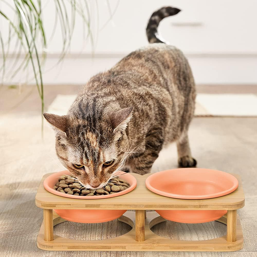 Dog Bowl Ceramic Cat Food Bowl with Wood Stand Elevated Cat Bowl Dog Food Bowl and Water Bowl Set for Small/Medium Pets (Pink)
