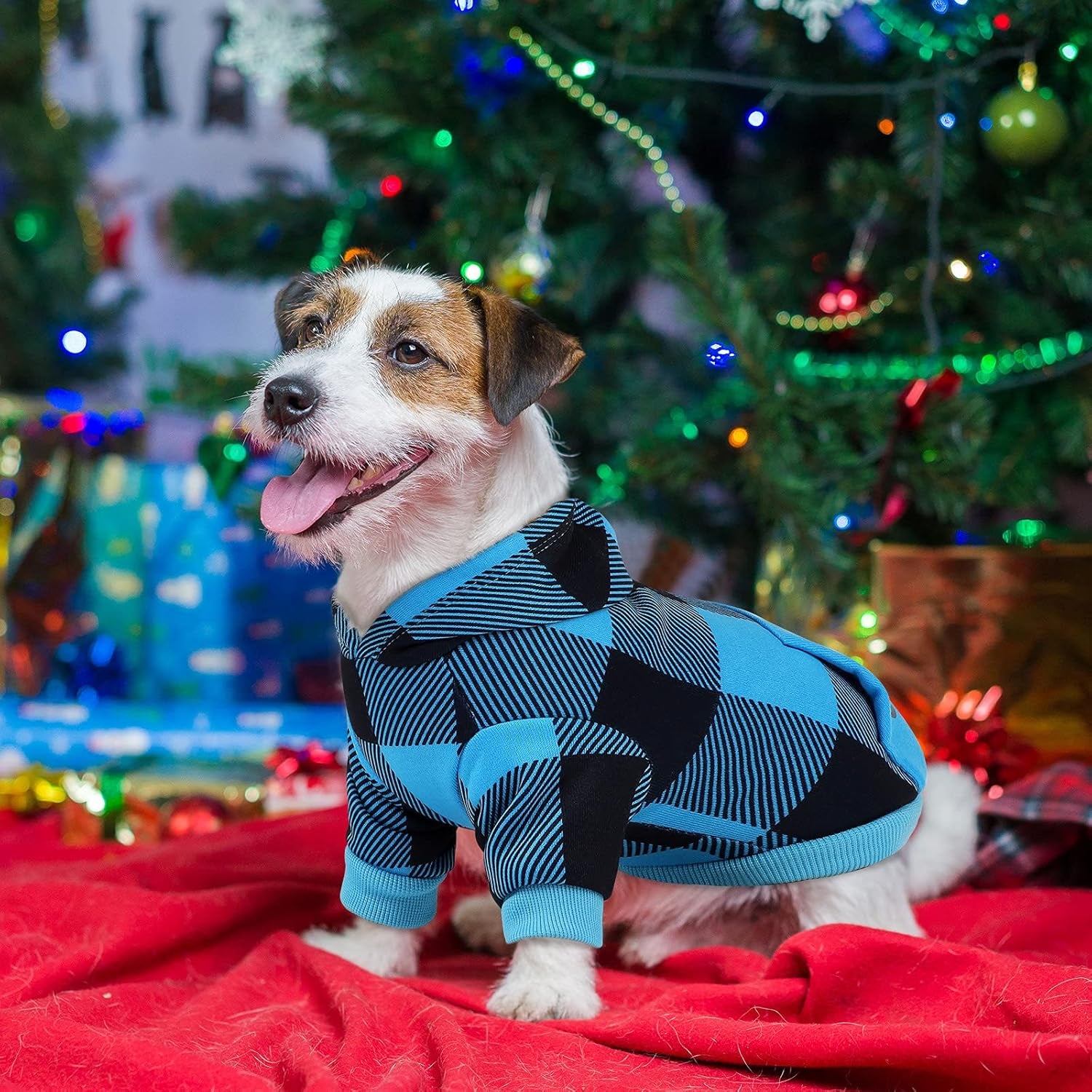 Blue and Black Plaid Dog Hoodie Pet Clothes with Hat Pet Sweaters for Dogs Puppies Cats Clothes with Dog Footprints Patterns Pocket, Warm, Soft and Breathable, Small